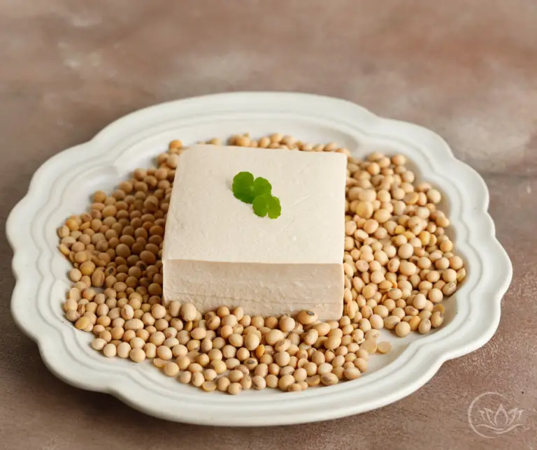 tofu and soybeans