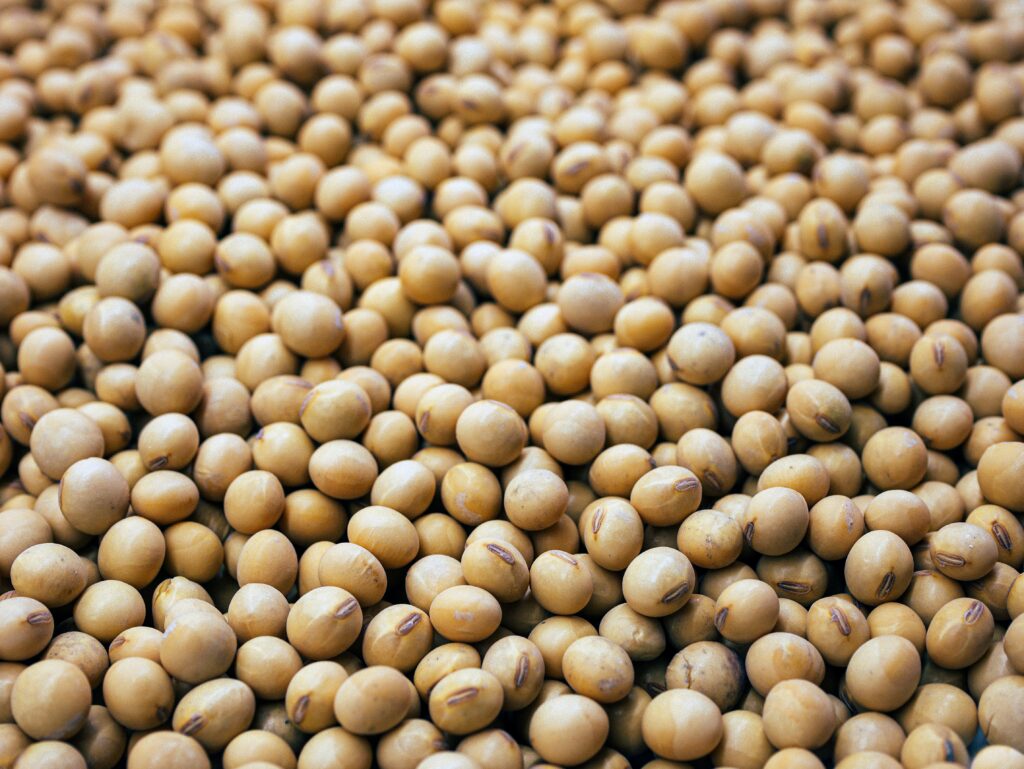 soybeans - natural menopause remedies