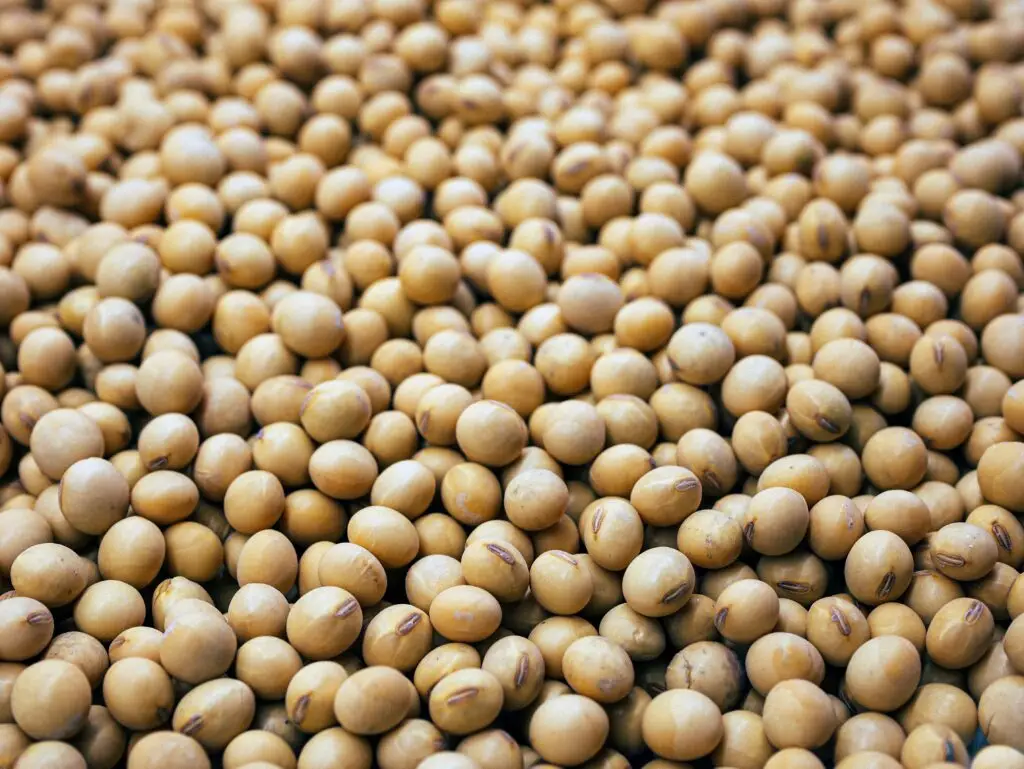 soybeans - natural menopause remedies